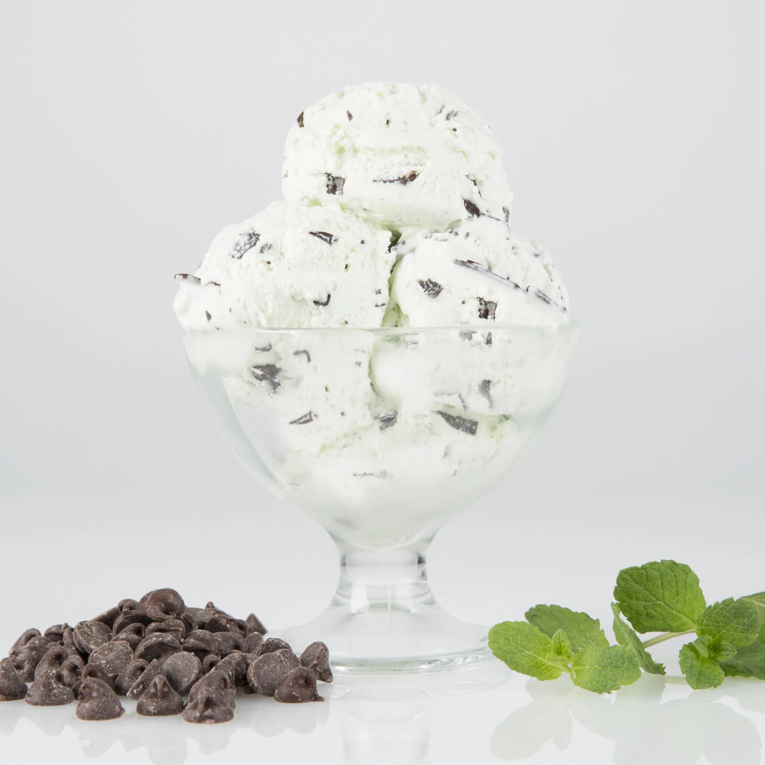 Mint Chocolate Chip — Yarnell's